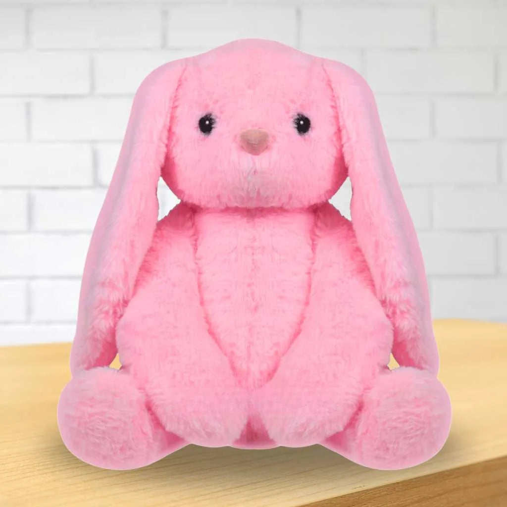 Cute Huggable Rabbit Soft Toy