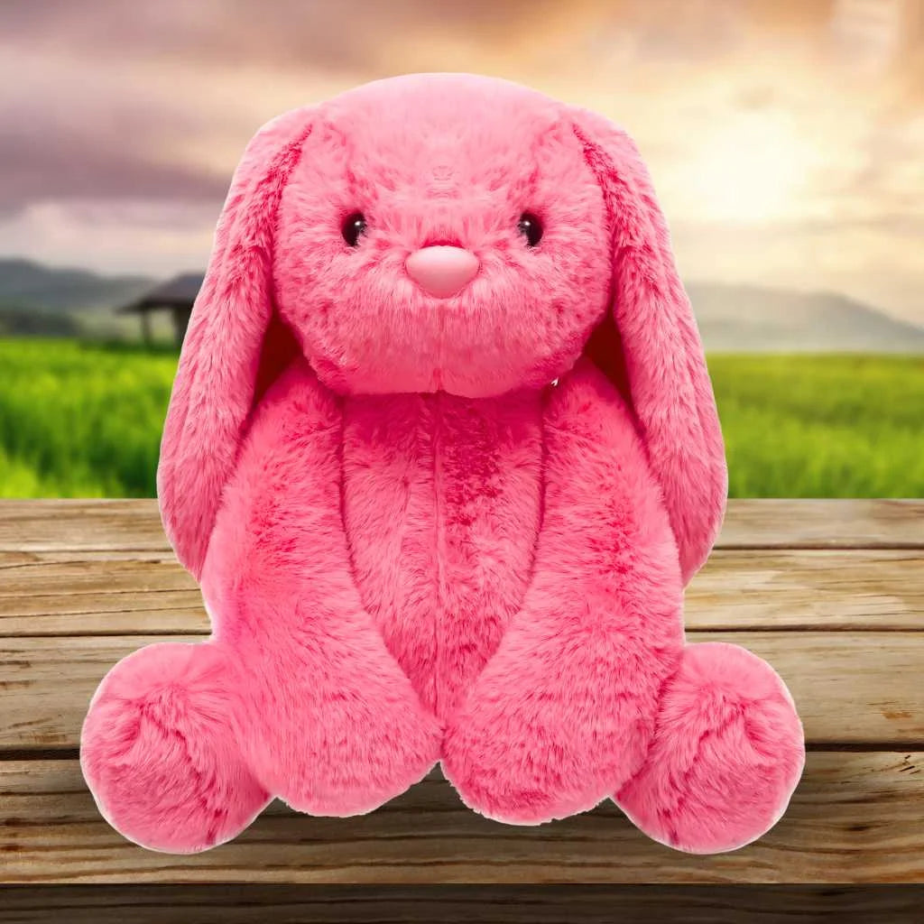 Cute Huggable Rabbit Soft Toy