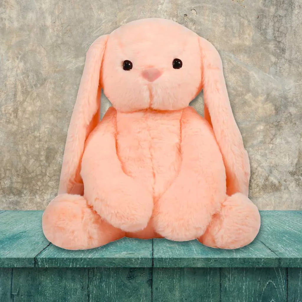 Cute Huggable Rabbit Soft Toy