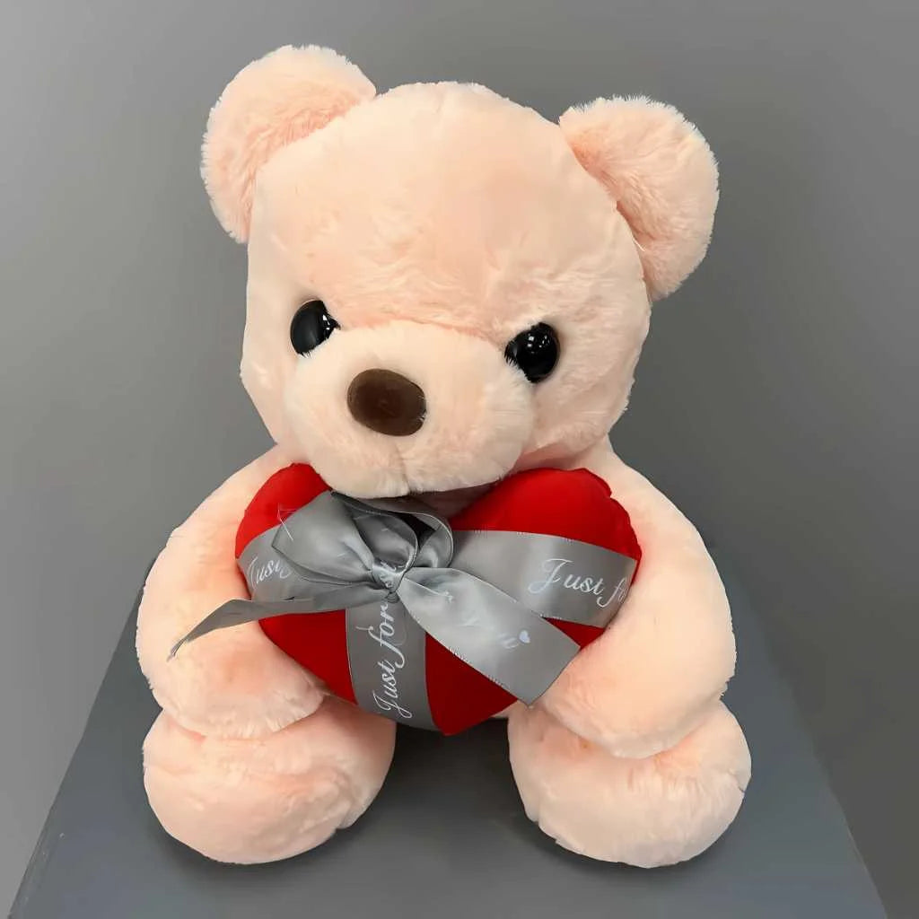 Cute Plush Teddy Bear for Girls with Heart